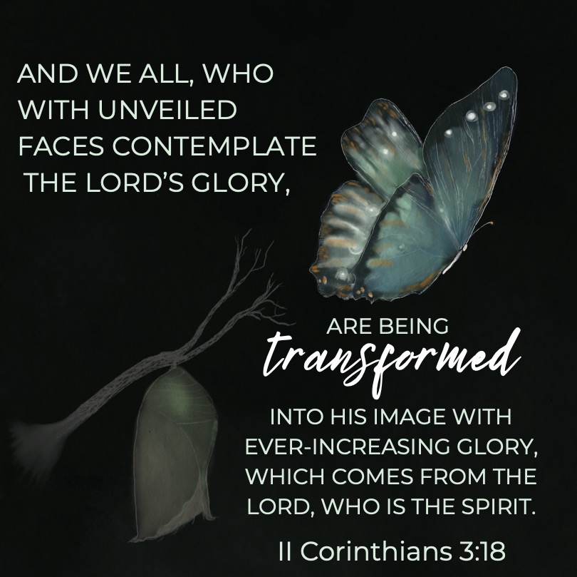 And we all, with unveiled face, beholding the glory of the Lord, are being transformed into  the same image from one degree of glory to another. For this comes from the Lord who is the Spirit. 2 Corinthians 3:18